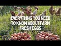 Why farm fresh eggs can be left out of the fridge!