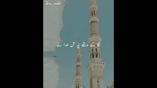 Kamal Aya || Naat Video || #zohaibashrafi || Ibna_mahi.1