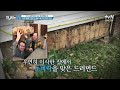 이사한 집에 1920년대 ooo가 78병이나 숨겨져 있다 다시 보면 돈이 되는 돈벼락템 19 프리한19 ep.328 tvn show 220912 방송