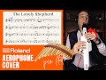 The Lonely Shepherd - Gheorghe Zamfir - Aerophone Cover (Pan Flute)