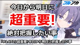 【ブルアカ】超重要！今日から明日に絶対把握したい事 (2/25版)【ブルーアーカイブ】