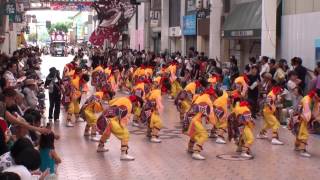 相模RANBU○　～2014高知よさこい祭り・全国大会(帯屋町筋会場)