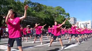 2018H300817 三島 三嶋大祭り みしまｻﾝﾊﾞﾊﾟﾚｰﾄﾞ