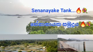 Senanayake Tank 🌞🔥💐     සේනානායක සමුද්‍රය ❤🔥👀