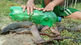 বোতল দিয়ে শিং মাছ ধরার কৌশল | Plastic bottle fishing | New fishing