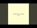 Fragile Serene Cascade