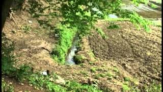 耳を澄まして！ 里山の野鳥たち