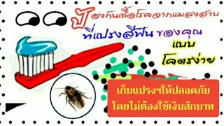 DIY ทำที่เก็บแปรงสีฟันโคตรง่าย ป้องกันโรคร้ายจากแมลงสาบ