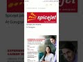 spicejet hiring for customer experience department social media