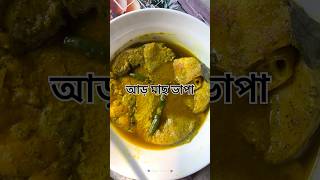 আড় মাছ ভাপা || Aar Mach Bhapa #food #fish #aarfish #bhapa #coocking #recipe #homecook #bengali