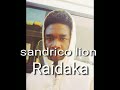 sandrico lion raidaka news lyrisc 2k24