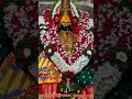 22 2 2025 live आई tuljapur tuljabhavani_live_darshan bhavani ytshorts trendingshorts