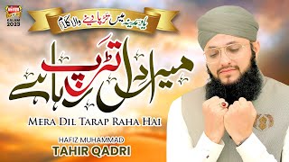Hafiz Tahir Qadri | Mera Dil Tarap Raha Hai | New Heart Touching Naat 2023 | Mujhe Le Chalo Madina