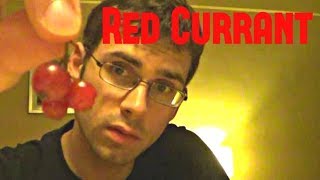 What do Red Currants taste like? - Weird Fruit Explorer : Episode 18