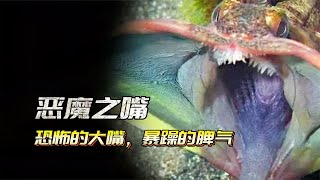 拥有恶魔之嘴的可怕生物（三）