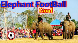 Elephant Football || Chitwan National Park || Visit Nepal ||sauraha