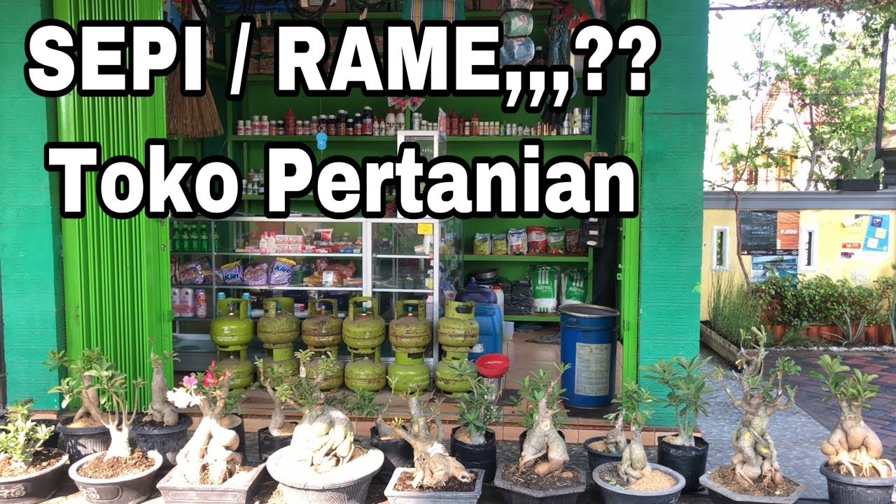 Usaha Toko PERTANIAN#REKOMENDASI - YouTube