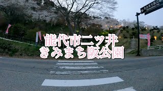 能代市二ツ井のきみまち阪で桜をみてきました