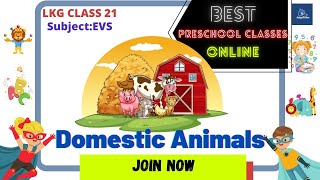Domestic animals|Best preschool classes online|Kindergarten at home|2021|preschool homeschool