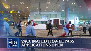 Vaccinated Travel Pass applications open with over 750 issued | THE BIG STORY
