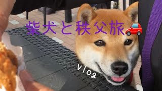 【vlog】犬と旅行　#柴犬#秩父#蕎麦#ドライブ旅行#テラジョ#寺が好き