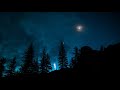 bring nature into your home forest sounds at night nature sounds for sleeping 30 minutes