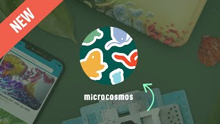 Meet the New Microcosmos!
