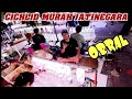 CICHLID KUALITAS KONTES‼️ UPDATE HARGA TERBARU CICHLID TERMURAH BADRI PASAR IKAN HIAS JATINEGARA