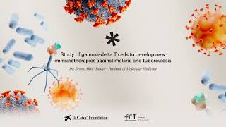 New immunotherapies for malaria and tuberculosis. B. Silva-Santos | CaixaResearch Health Call 2024