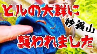 Leeches Attack Japan's mountain , Mt.Myogi in Gunma