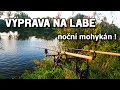 Výprava na LABE. Lov velkých kaprů