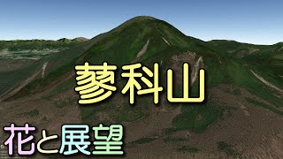 蓼科山。初夏の花々と大展望。七合目～新湯温泉。