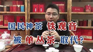 【漫仔说茶】曾经的国民神茶铁观音，为何如今被单丛茶取代？漫仔入木三分解析