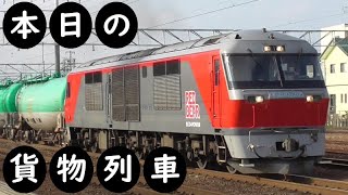 【本日の貨物列車】No.874　2023,3,29　第8075番列車　Today‘s freight train