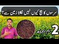 How to avoid poor seed germination problems in mustard farming | Abid Ali Agrarian