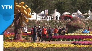 인삼 캐고 꽃길 걷고...깊어가는 가을 만끽 / YTN