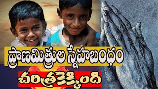 ప్రాణమిత్రుల స్నేహబంధం చరిత్రకెక్కింది|| ఈ వీడియో ట్రూ ఫ్రెండ్స్ కి అంకితం#truestories#inspiration