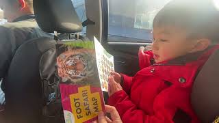 Kids Channel l 英國 l UK l Knowsley Safari Park I Merseyside l Sheffield l 週末好去處親子 l 放電 l Hoho Family