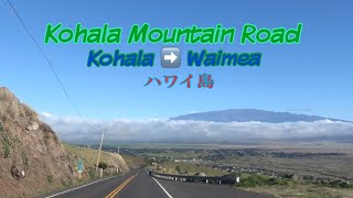 ハワイ島でドライブするなら、コハラマウンティンロード。Kohala Mauntain Road in Big Island