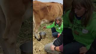 Erich Wallace milking a cow