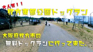 枚方市東部公園ドッグランに行って来た