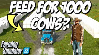 How Much Feed Does it Take to make $10 Million from our Cattle? | Farming Simulator 22