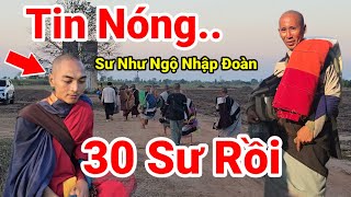 181: Tin Nóng.. Sư Như Ngộ Nhập Đoàn 30 Sư Sẽ Bộ Hành Trên Đất Thái Lan Gấp Rút 10 Ngày Đếm Ngược