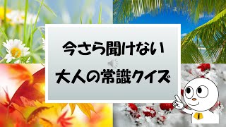 【就活に役立つかも！？】大人の常識クイズ｜障害者（障がい者）の就職なら就労移行支援事業所アイ・ワークス西明石　vol.213