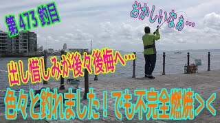 釣り動画ロマンを求めて 473釣目