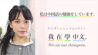 「中国語(台湾語)の勉強をしています」「中国語(台湾語)を少し勉強したことがあります」を中国語＆台湾語で＊110