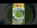 Melbourne Cricket Ground|MCG|1853/2022 #shorts