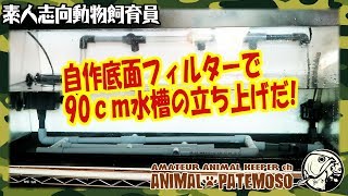 自作底面フィルターで90cm水槽を立ち上げる!【アクアリウム】【熱帯魚】