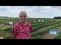 u-pick season is in full swing at Huhn Strawberry Farm