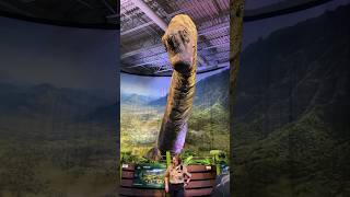 Huge brontosaurus #brontosaurus #jurassicworld #animatronics #big #amazing #huge￼